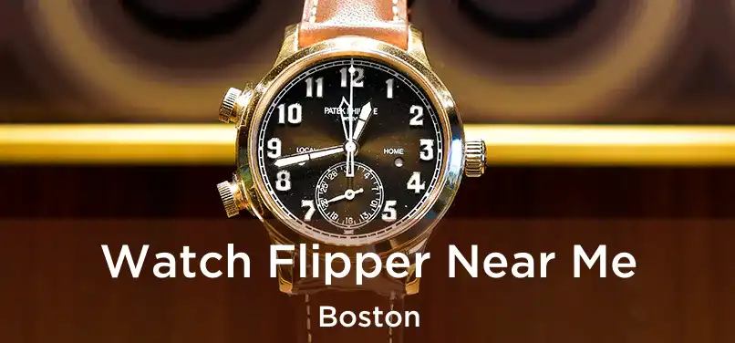 Watch Flipper Near Me Boston